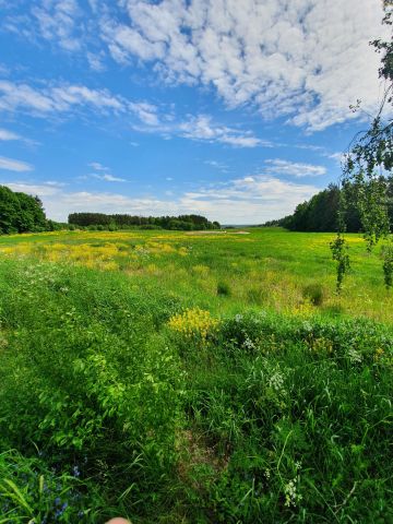 Działka rolno-budowlana Czerwonki. Zdjęcie 1