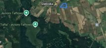 Działka rolna Glebiska. Zdjęcie 1