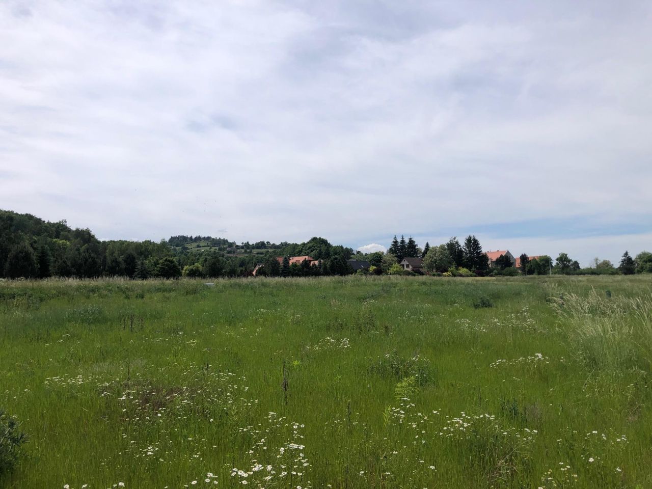 Działka budowlana Lutomia Górna, ul. Widokowa. Zdjęcie 5