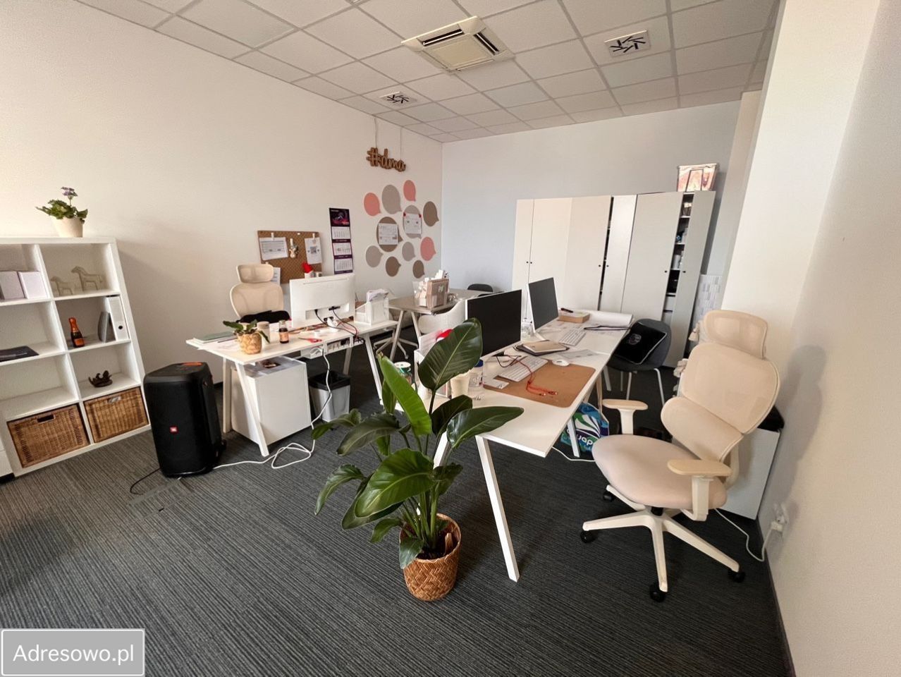Biuro Wrocław Borek, ul. Ślężna. Zdjęcie 14