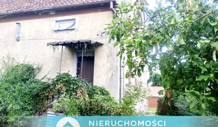 Mieszkanie 3-pokojowe Piotraszewo