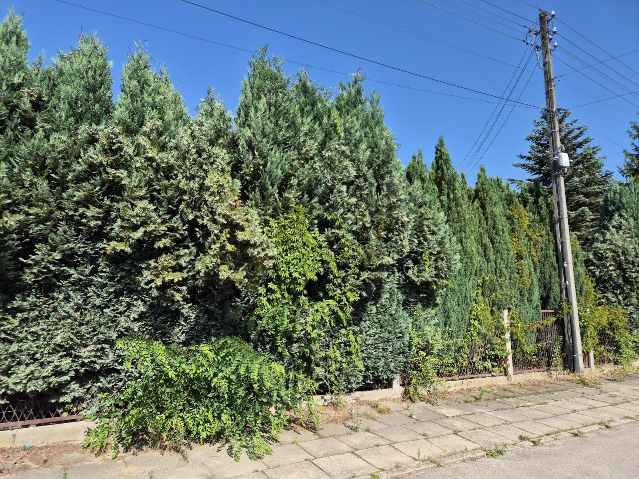 Działka budowlana Piekary Śląskie Centrum, ul. Juliusza Słowackiego. Zdjęcie 2