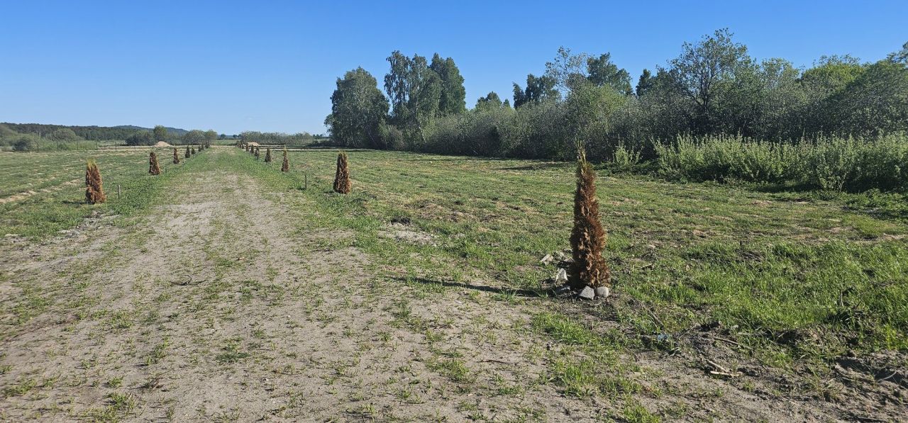 Działka rekreacyjna Białogóra. Zdjęcie 4