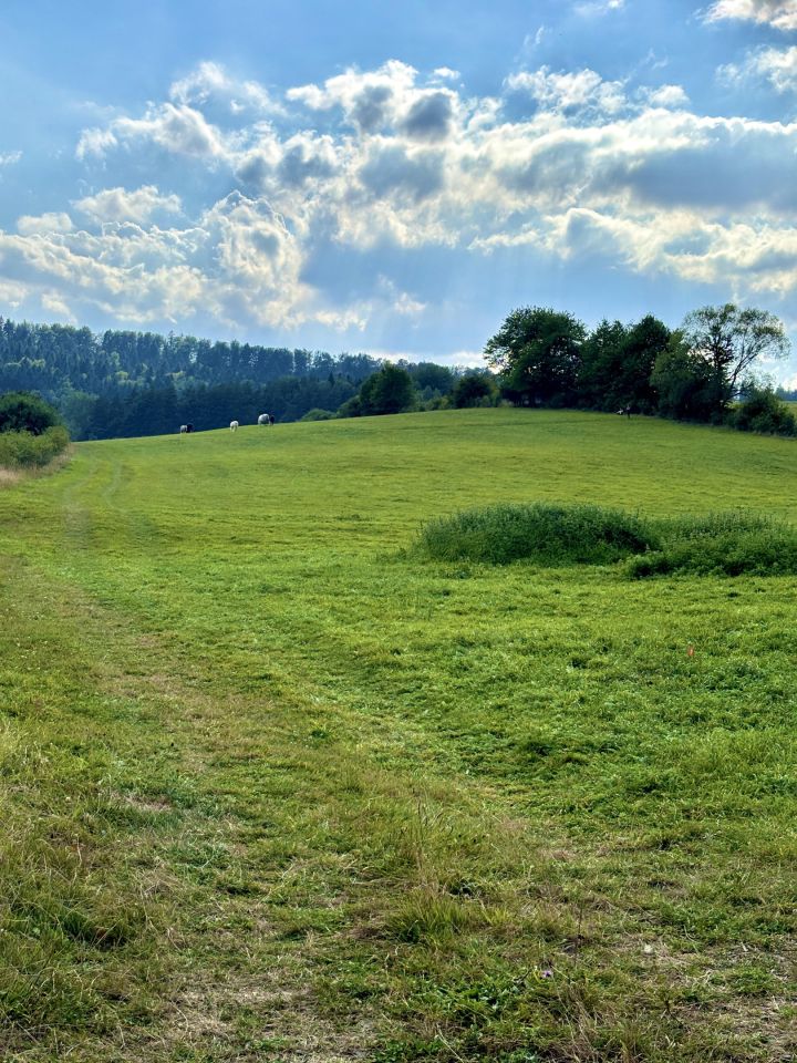dom wolnostojący, 3 pokoje Ustrzyki Dolne, ul. Bieszczadzka. Zdjęcie 13