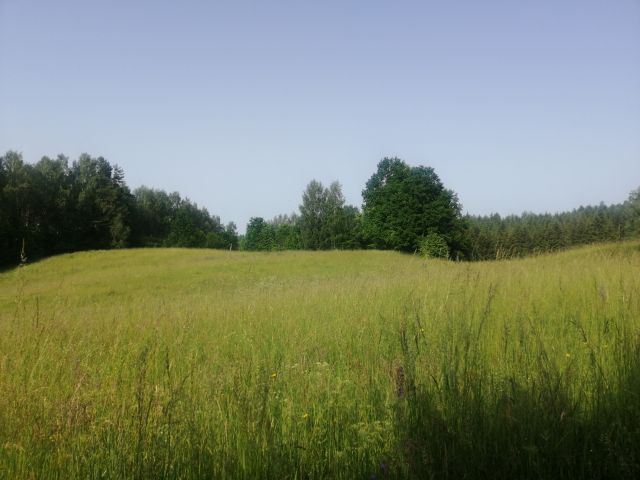 Działka rolna Szałstry. Zdjęcie 1