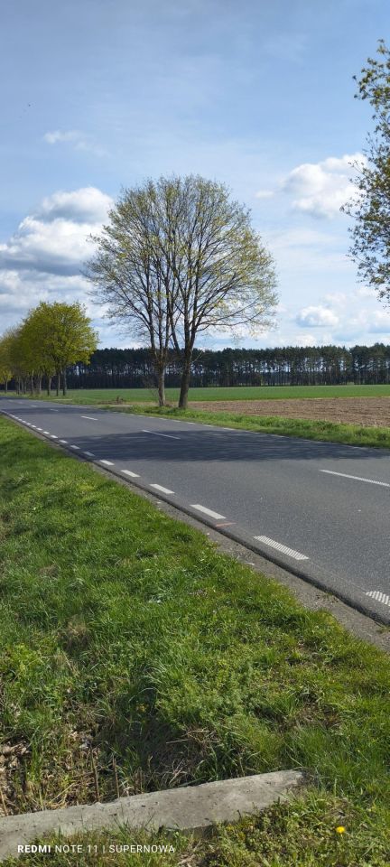 Działka rolna Brenno, ul. Leszczyńska. Zdjęcie 2