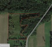 Działka Kolonia Kiełczewice Dolne. Zdjęcie 1