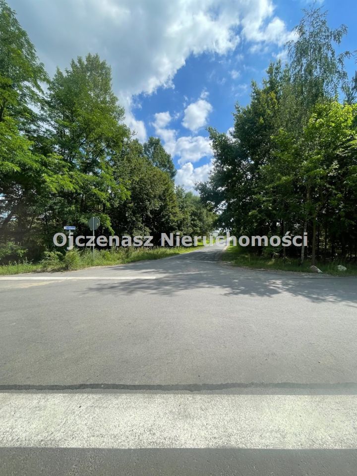 Działka leśna Toporzysko. Zdjęcie 4