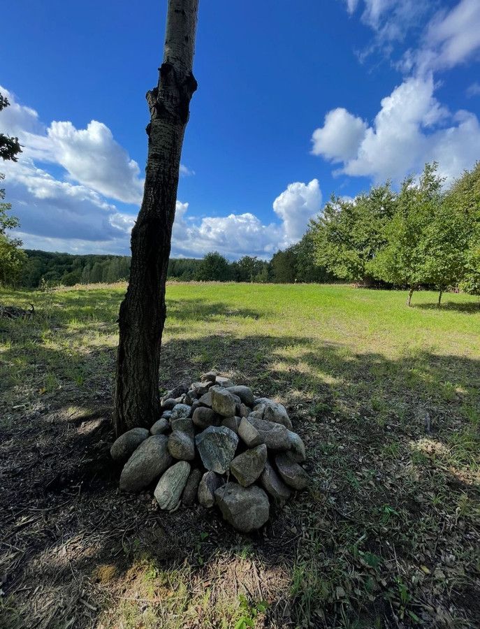 Działka budowlana Chalin. Zdjęcie 6