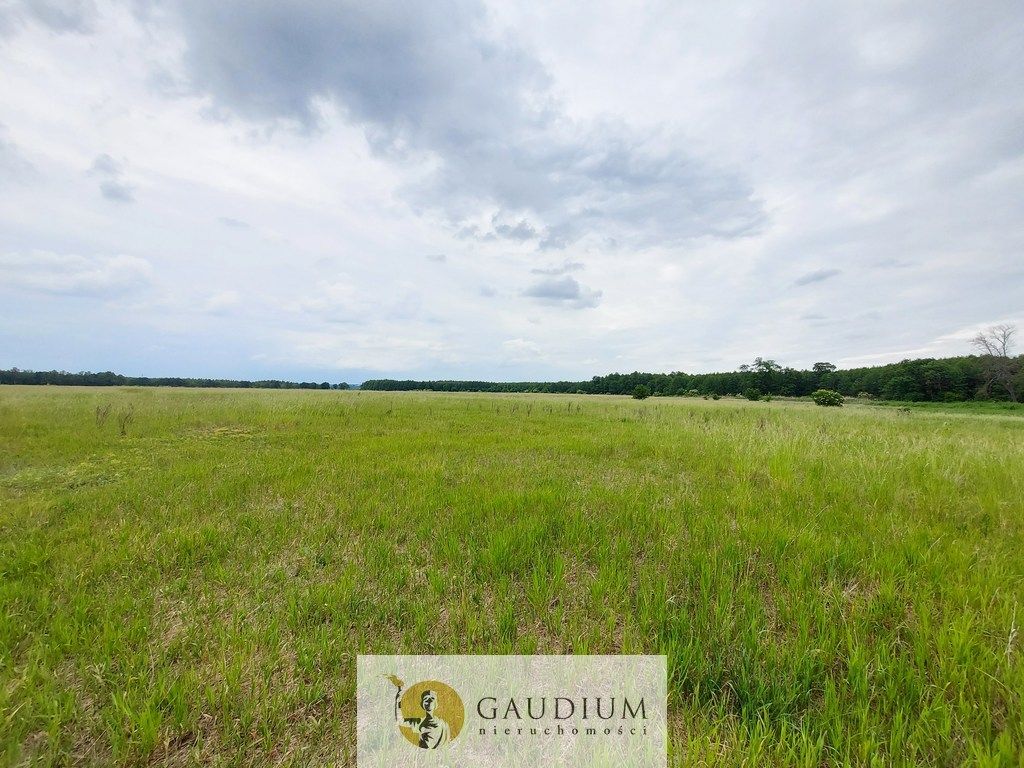 Działka Karszyn. Zdjęcie 8