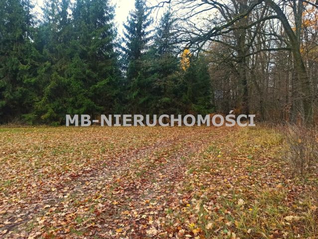 Działka rekreacyjna Skarpa. Zdjęcie 6