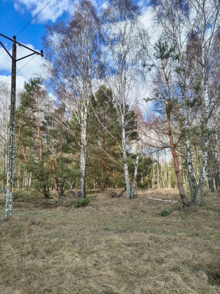 Działka rolna Derkacze. Zdjęcie 7