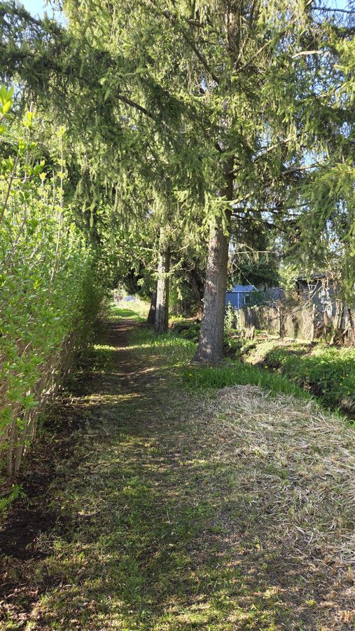 Działka rod Ząbki, ul. Radzymińska. Zdjęcie 7