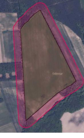 Działka rolno-budowlana Ostrowąsy. Zdjęcie 1