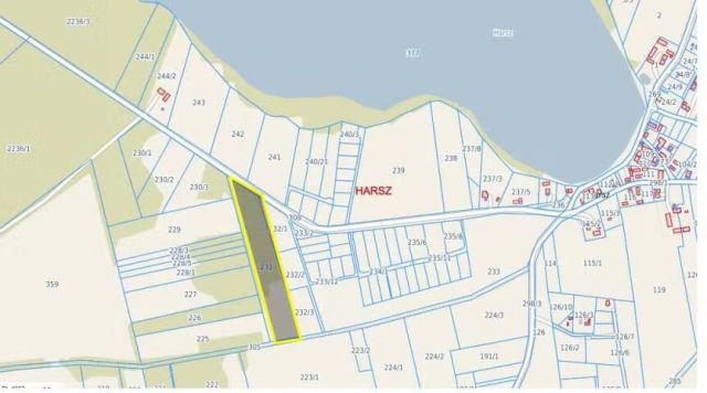 Działka leśna Harsz. Zdjęcie 1