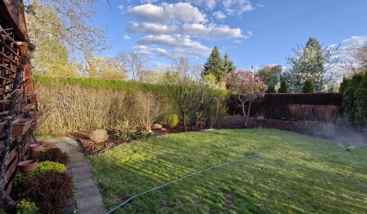 Działka rod Warszawa Saska Kępa, ul. Afrykańska