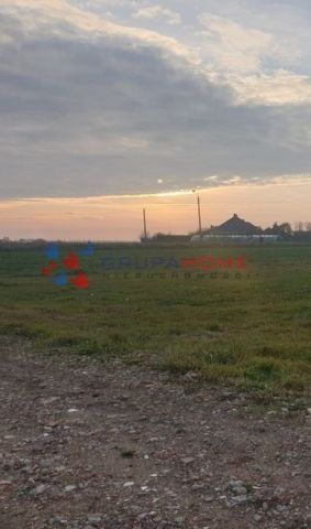 Działka budowlana Dawidy Bankowe. Zdjęcie 1