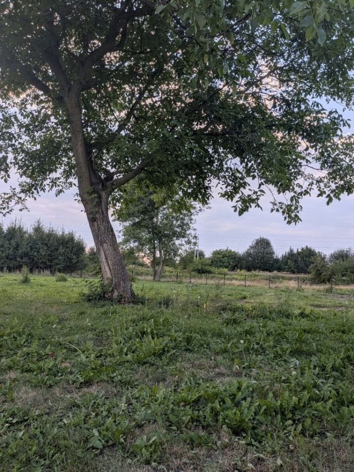 dom wolnostojący Babice, ul. Krakowska. Zdjęcie 6