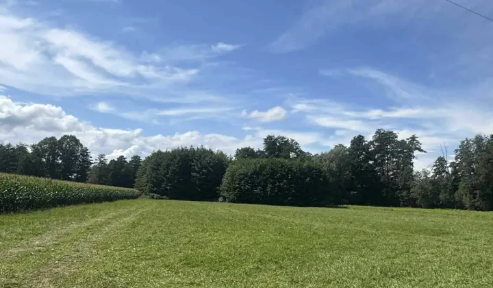 Działka rolna Michałowice