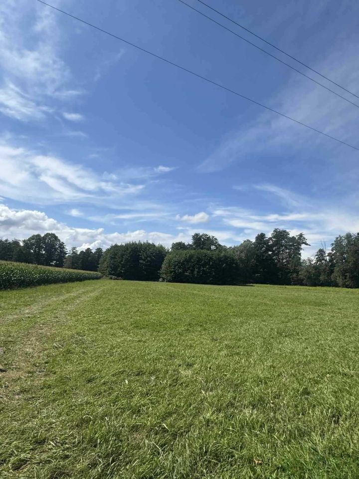 Działka rolna Michałowice