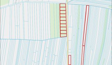 Działka leśna Olempin