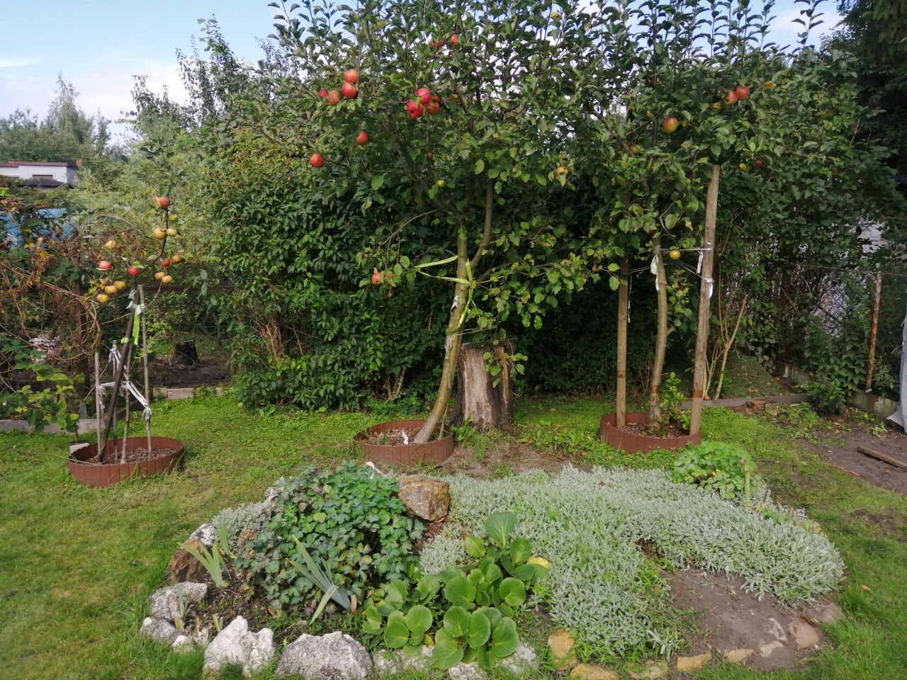 Działka rod Częstochowa Centrum, ul. Papierowa. Zdjęcie 8