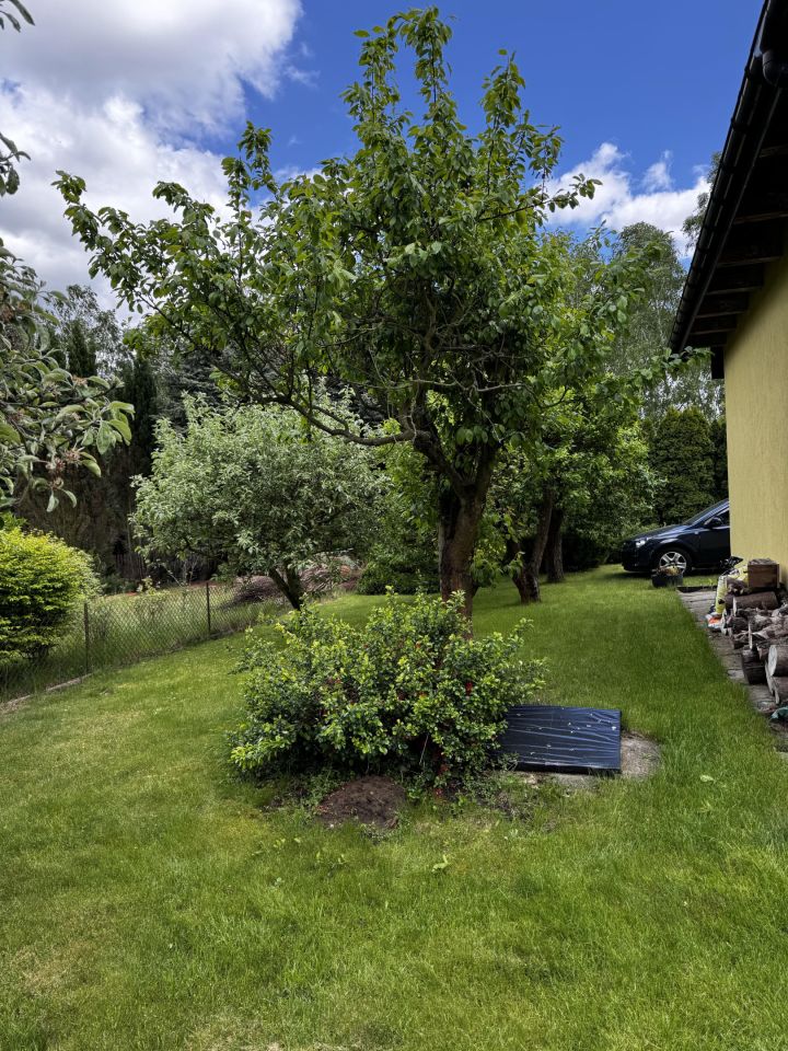 Działka rod Osse. Zdjęcie 14