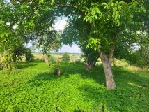 siedlisko Średnie Małe. Zdjęcie 4