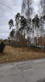 Działka leśna Włoszczowa, ul. Sosnowa. Zdjęcie 1