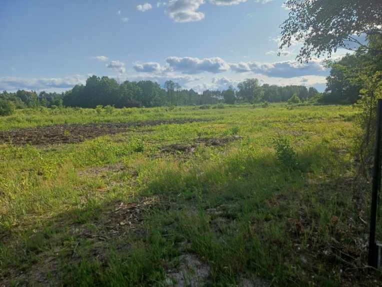 Działka rolno-budowlana Wola Karczewska, ul. Rutki. Zdjęcie 2