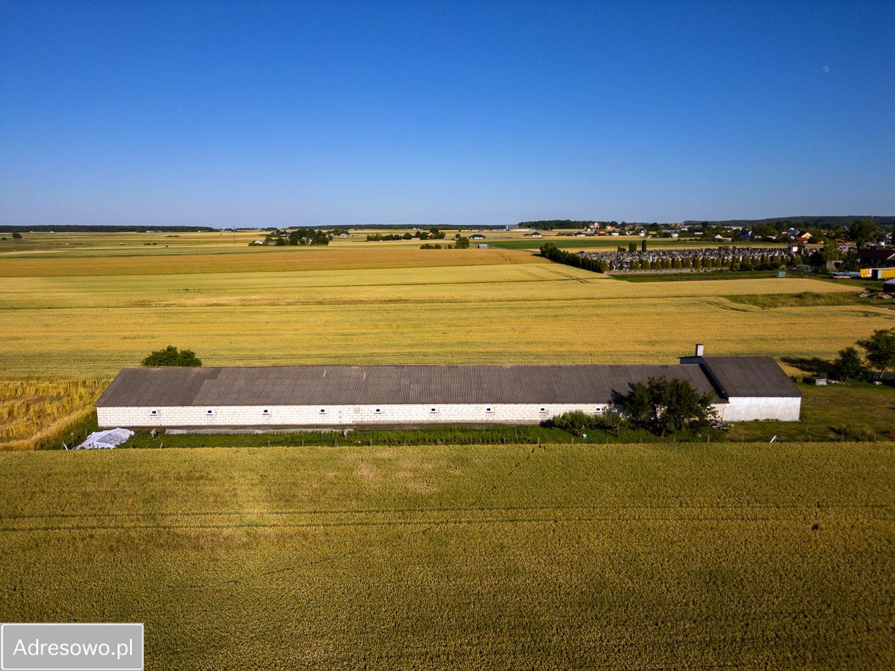 Hala/magazyn Łabunie, ul. Zamojska. Zdjęcie 4