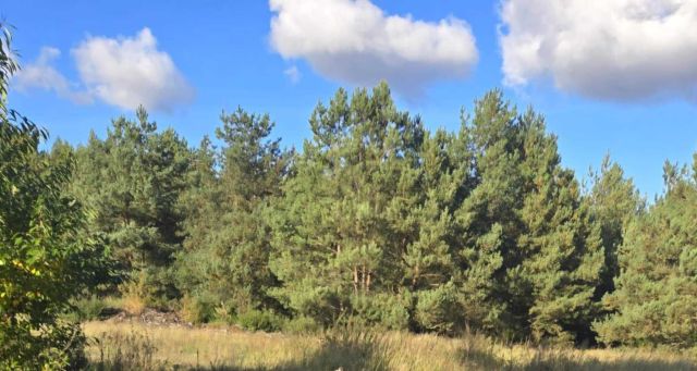 Działka budowlana Toruń, ul. Aleksandra Birkenmajera. Zdjęcie 1