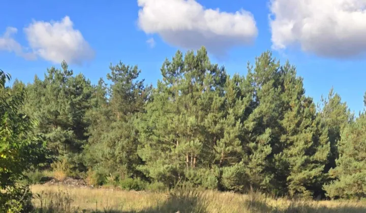 Działka budowlana Toruń, ul. Aleksandra Birkenmajera