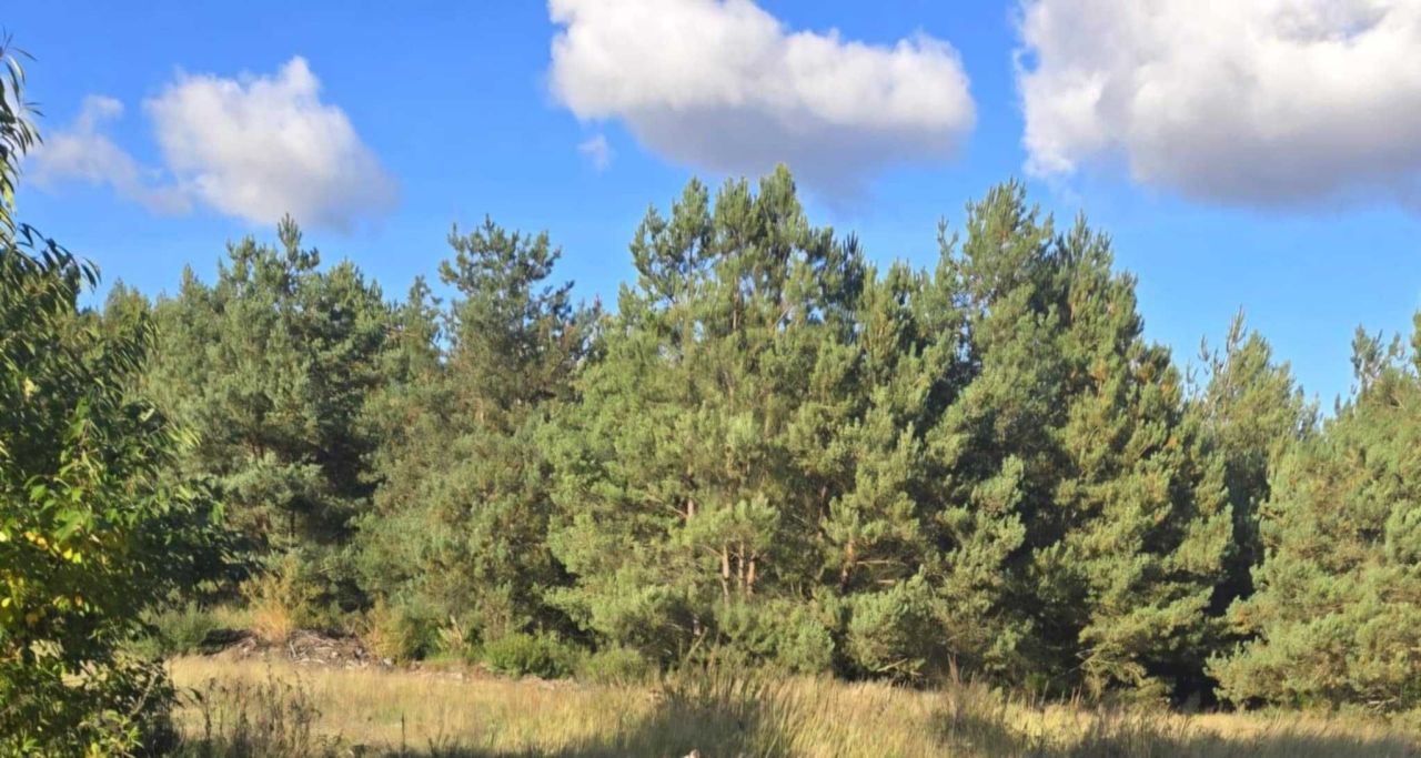 Działka budowlana Toruń, ul. Aleksandra Birkenmajera