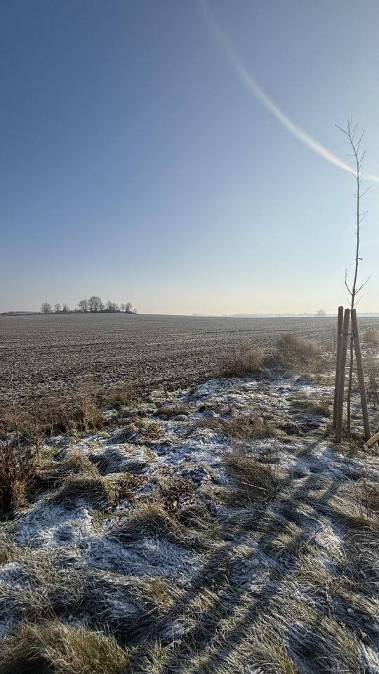 Działka budowlana Dołgie. Zdjęcie 3