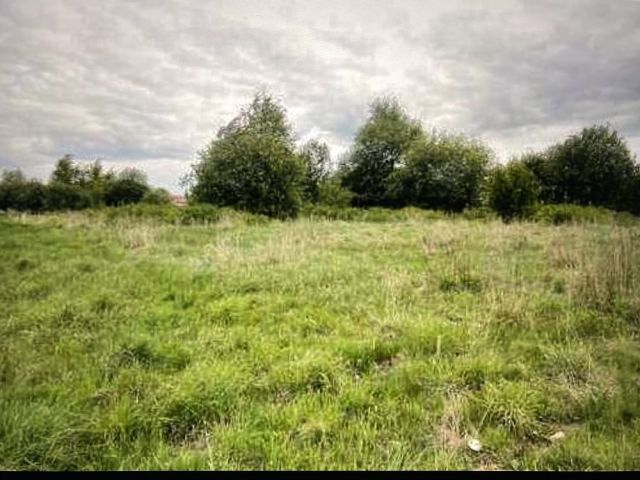 Działka rolna Zaleszany. Zdjęcie 1