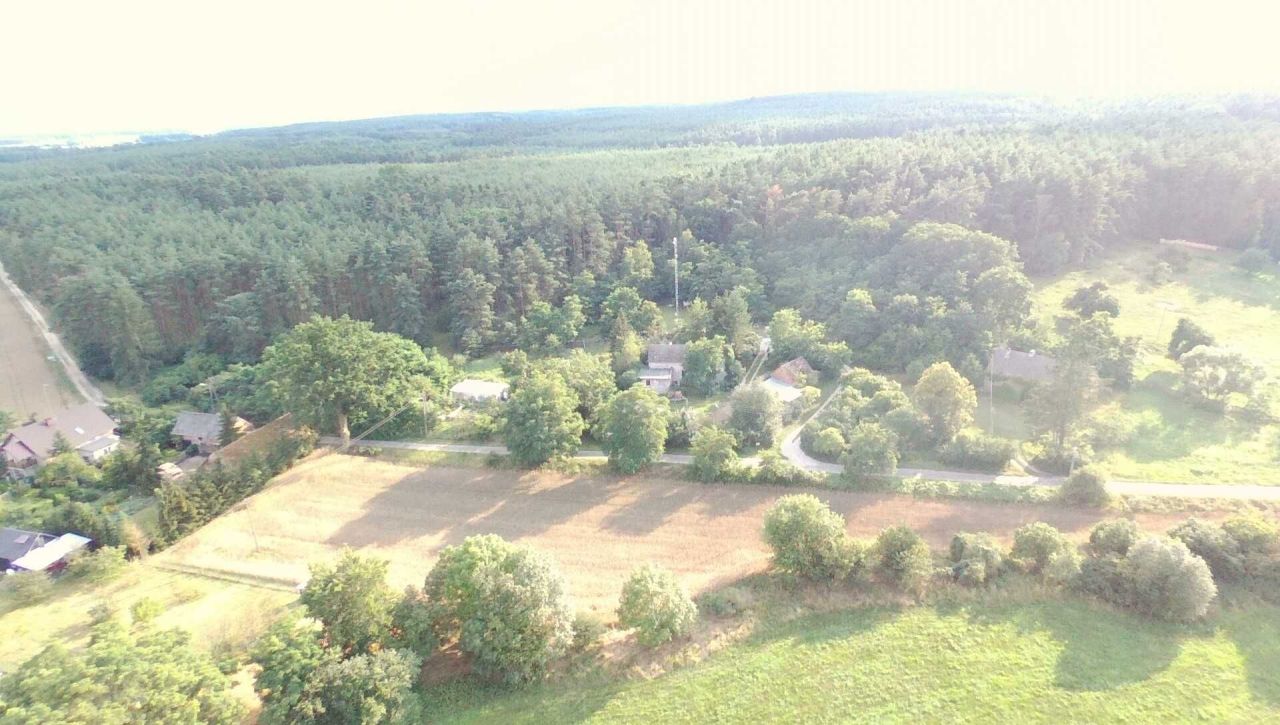 Działka leśna Smolno Wielkie Smolno Małe. Zdjęcie 2