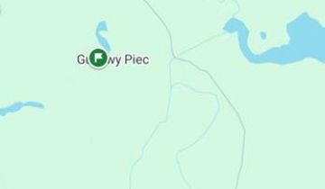 dom wolnostojący Biesal