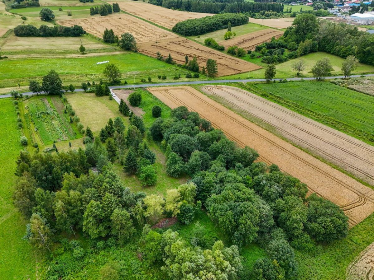Działka budowlana Rymanów. Zdjęcie 8