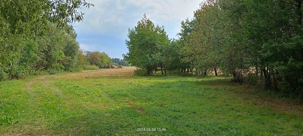 Działka Aleksandria