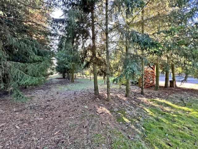 dom wolnostojący, 5 pokoi Lasocin. Zdjęcie 7