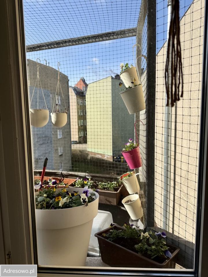 Mieszkanie 3-pokojowe Szczecin Śródmieście, al. Wyzwolenia. Zdjęcie 10