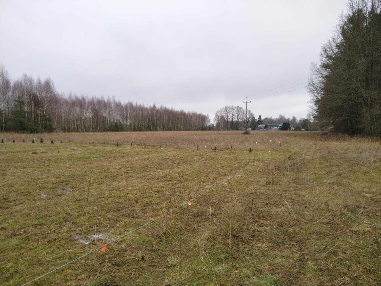 Działka rolno-budowlana Rakówiec. Zdjęcie 4