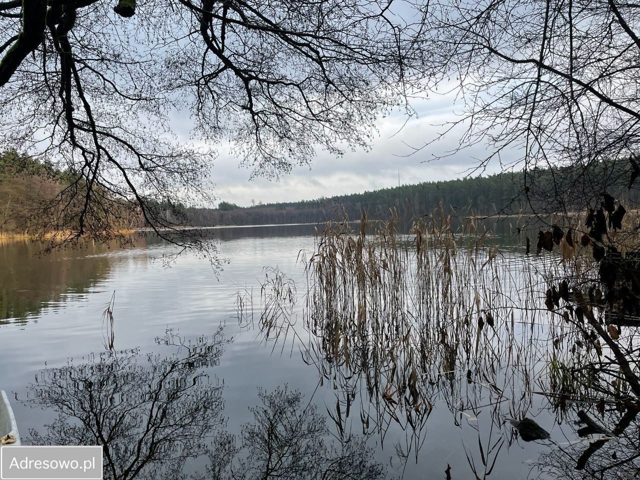 Działka budowlana Bielice. Zdjęcie 2