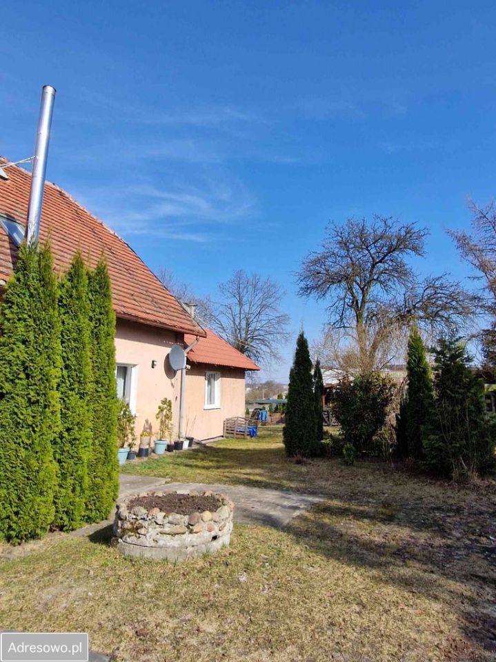 Mieszkanie 1-pokojowe Jankowo Dolne. Zdjęcie 5