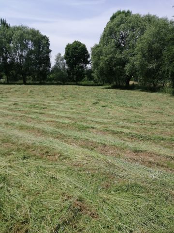 Działka budowlana Ropczyce Witkowice, ul. Mickiewicza. Zdjęcie 1