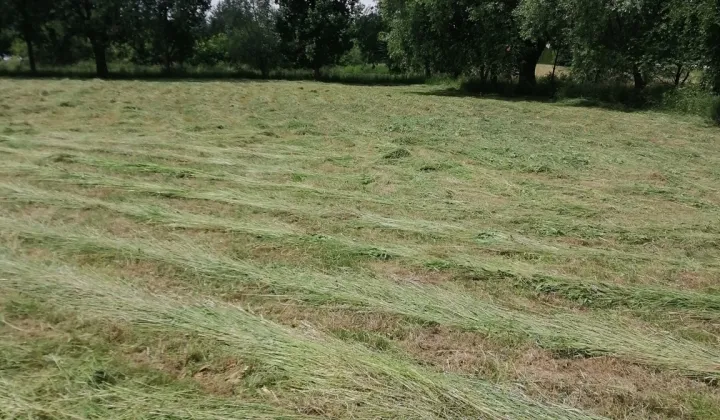 Działka budowlana Ropczyce Witkowice, ul. Mickiewicza