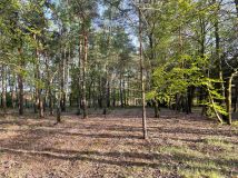 Działka budowlana Skierniewice Feliksów, ul. Przechodnia. Zdjęcie 2