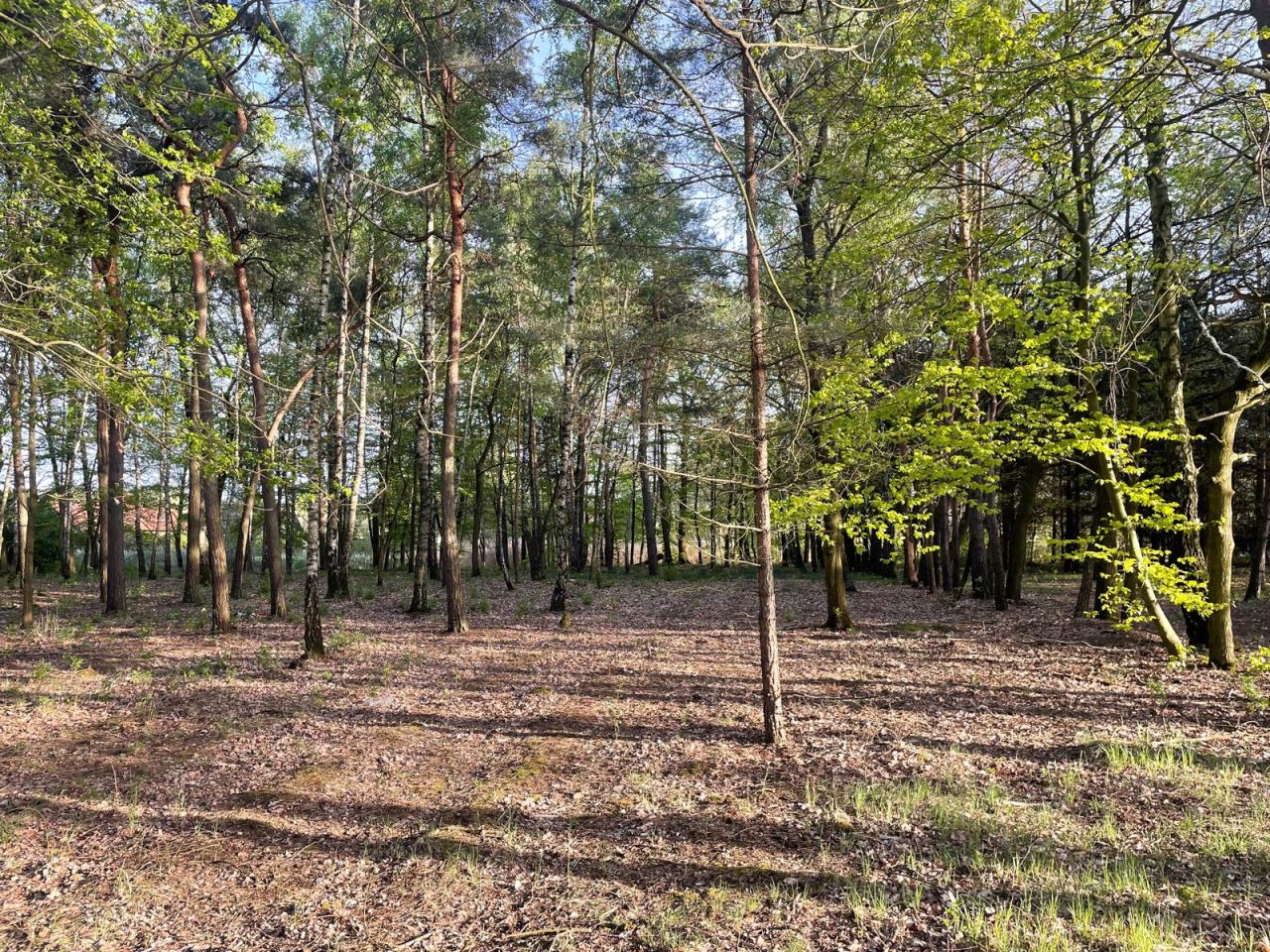 Działka budowlana Skierniewice Feliksów, ul. Przechodnia. Zdjęcie 3