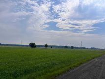 Działka budowlana Borowa, ul. Polna. Zdjęcie 3